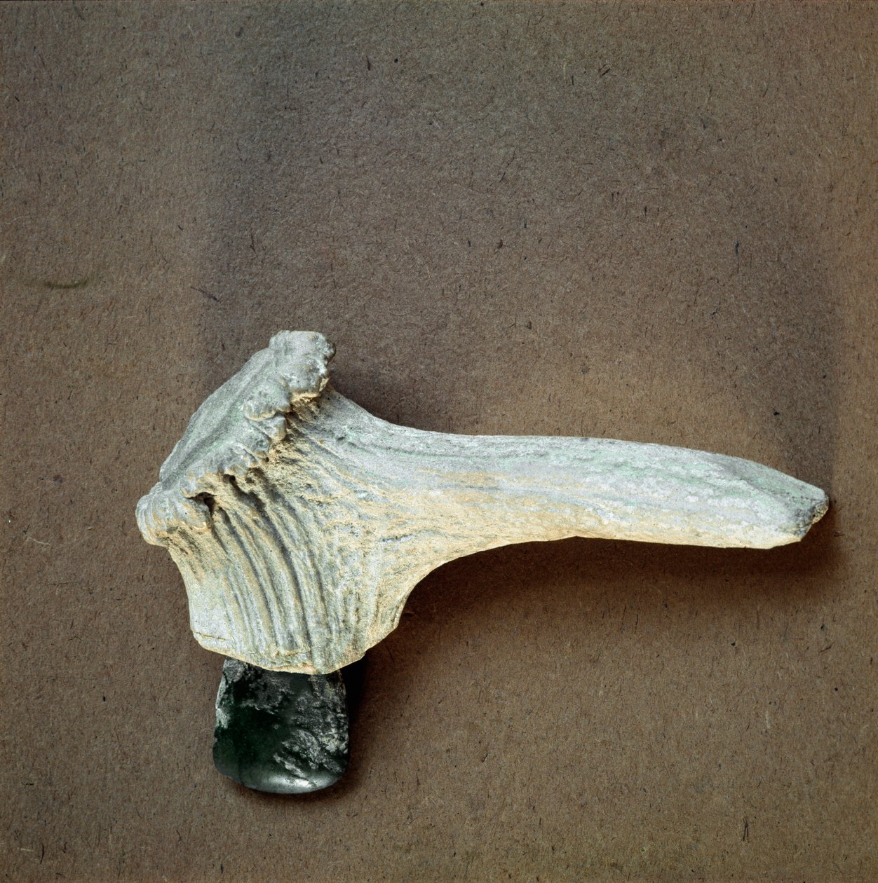 Prähistorie: grüne Steinaxt mit Hirschhorngriff aus der Höhle von Pollera (Finale Ligure), Ligurien. Mittleres Neolithikum, Steinzeit. Genua, Museo di archeologia Ligure von Prehistoric Prehistoric