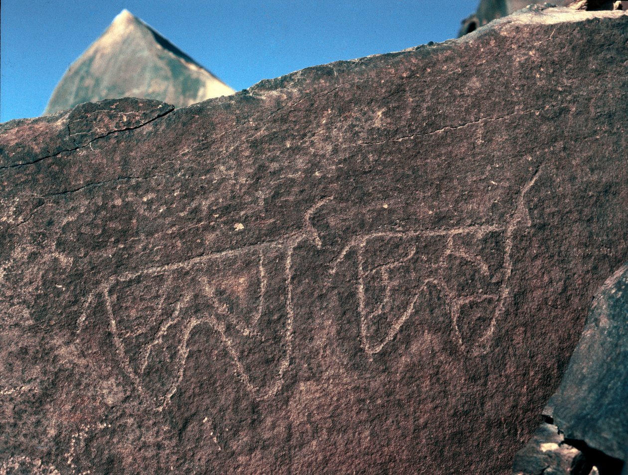 Prähistorie, Felskunst: Grabstein mit Darstellung von Rindern. Tazina-Stil von Prehistoric Prehistoric