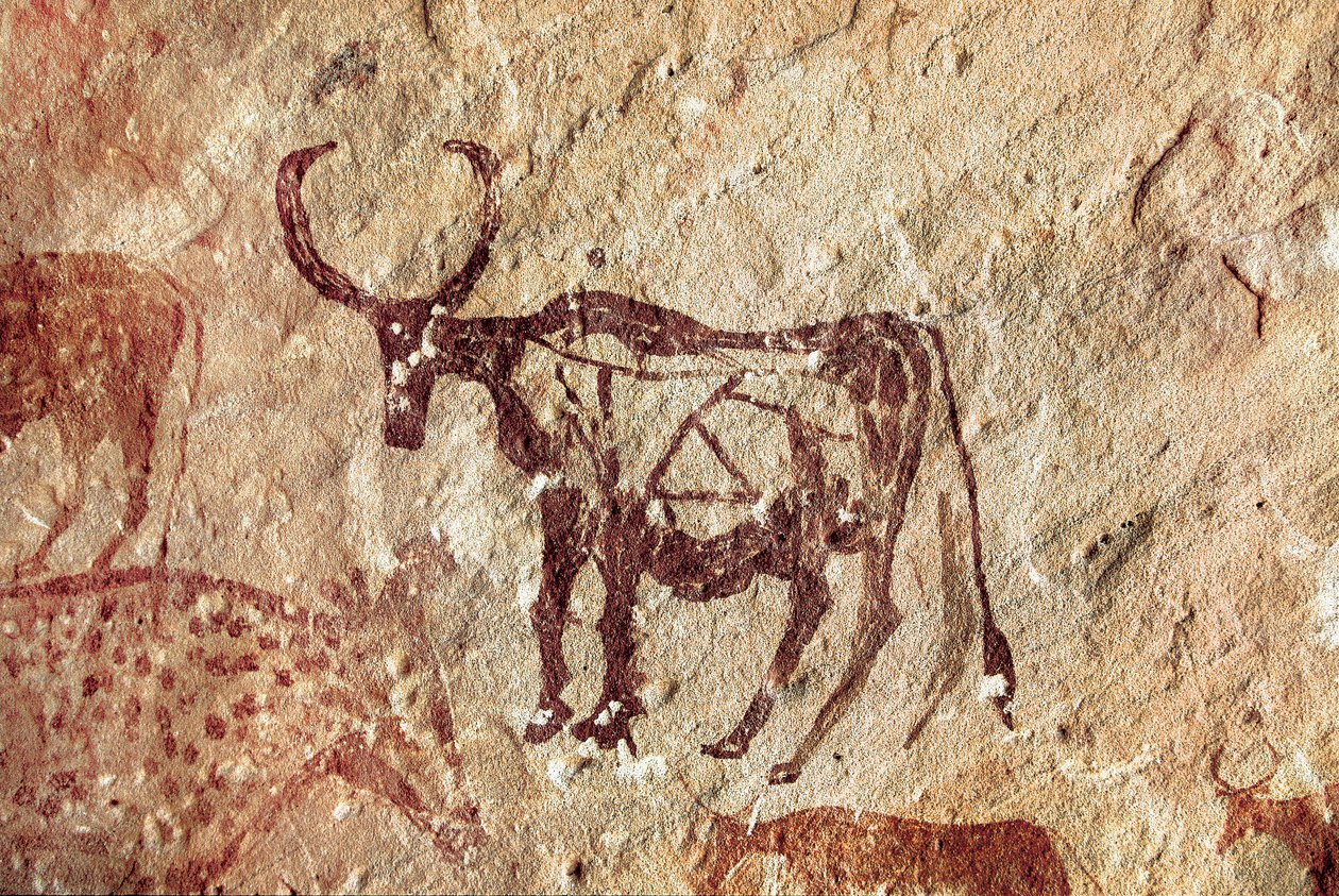 Felsmalerei: Darstellung eines Hirsches. Höhle von Tadrart Acacus, Libyen von Prehistoric Prehistoric