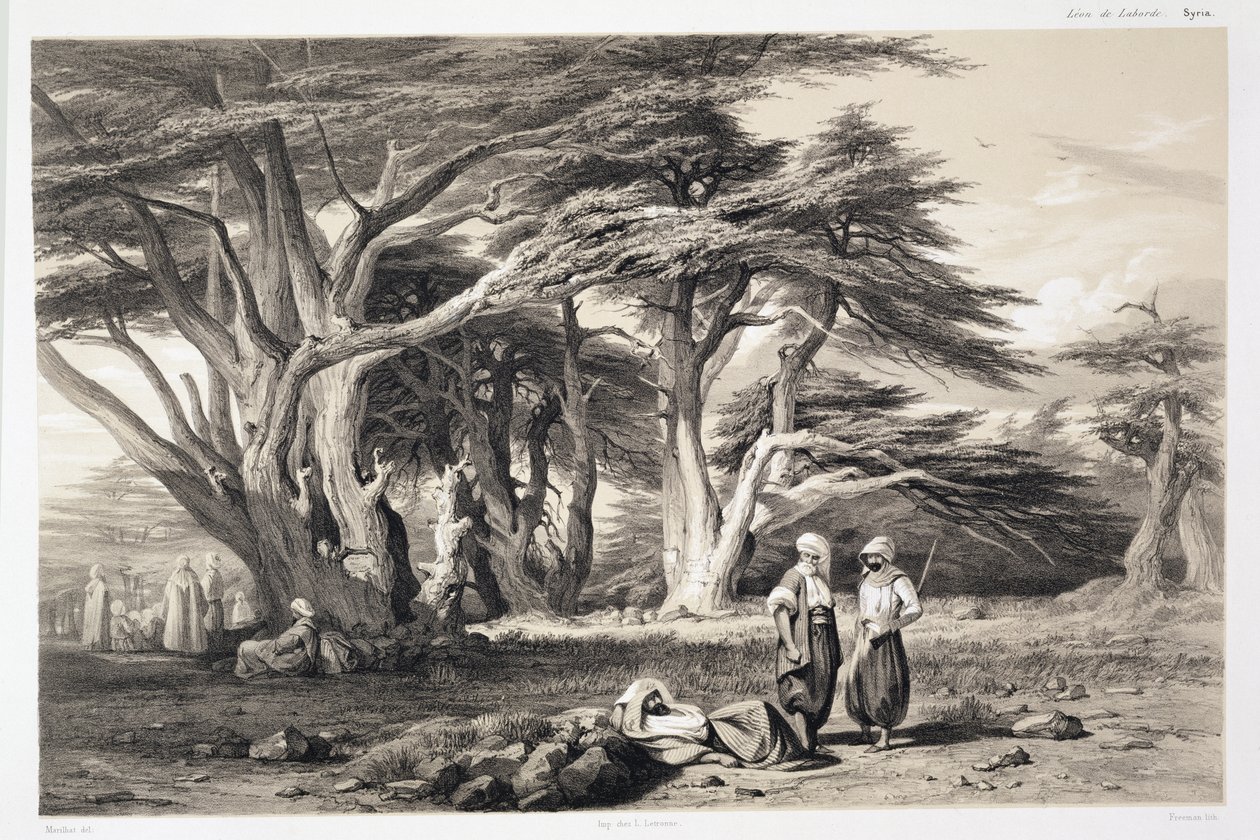 Die Zedern des Libanon, graviert von Freeman von Prosper Georges Antoine Marilhat