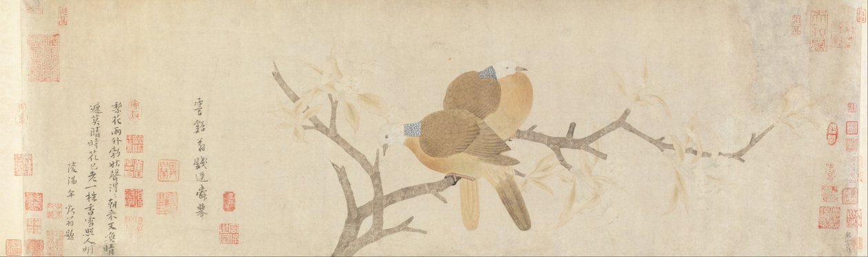 Tauben und Birnenblüten nach dem Regen von Qian Xuan