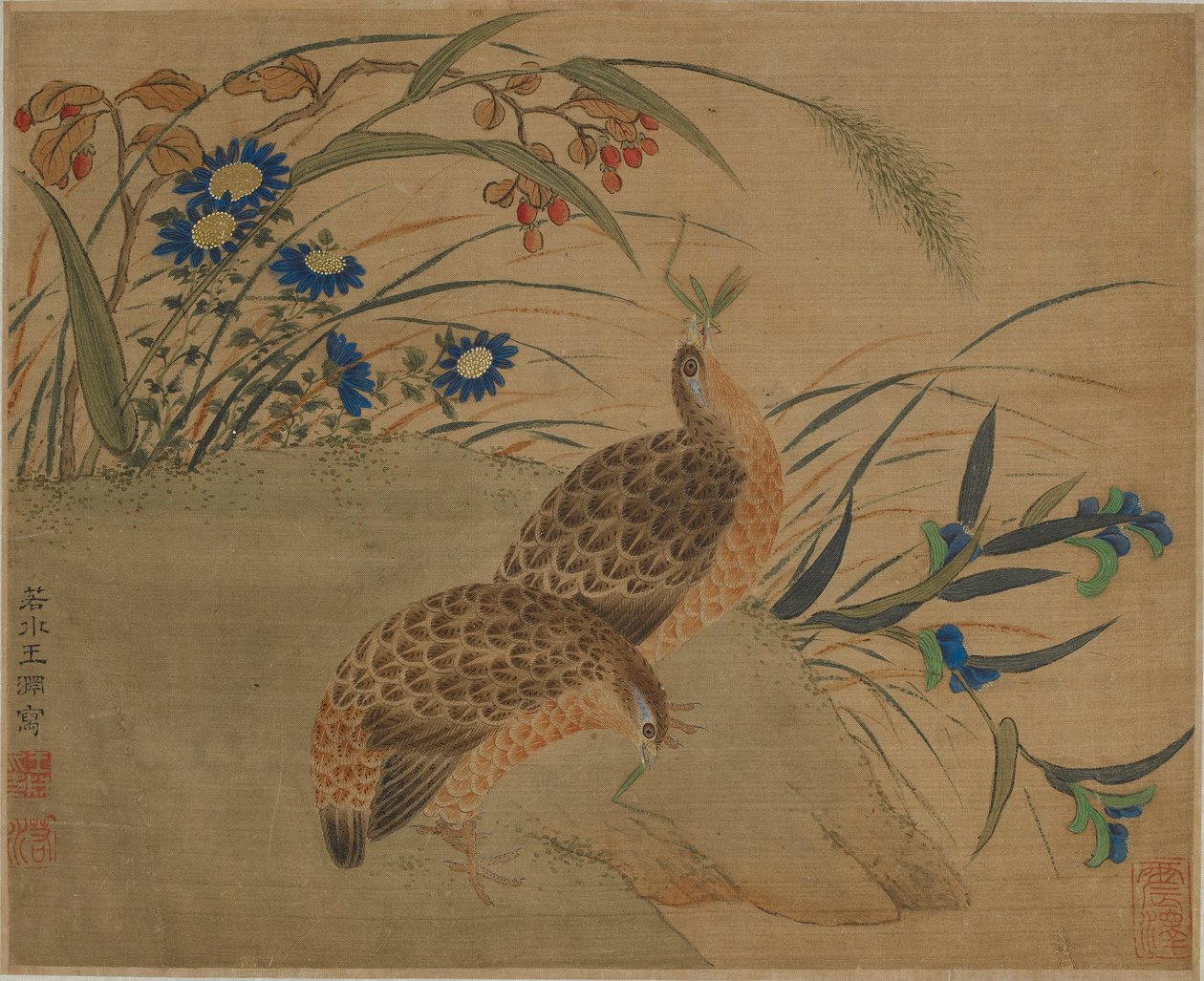 Zwei Wachteln, die Heuschrecken unter Blumen fressen von Qing Dynasty Chinese School