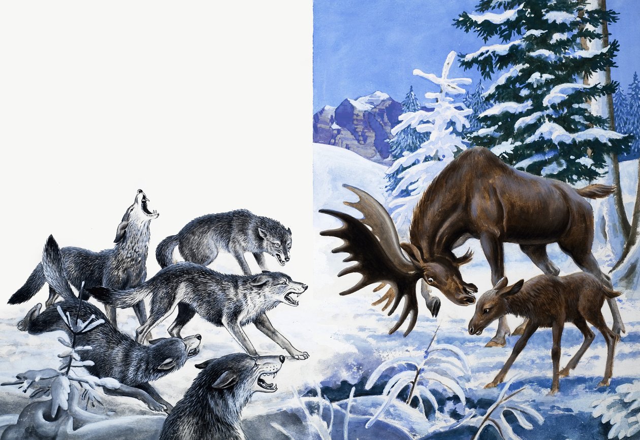 Das Königreich der Natur: Sie aßen sich in den Hunger von R.B. Davis