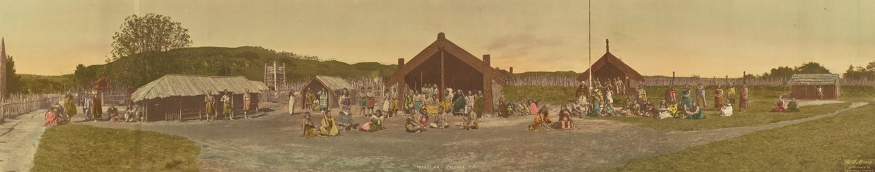 Maori Pa, Rotorua, Neuseeland von R. P. Moore