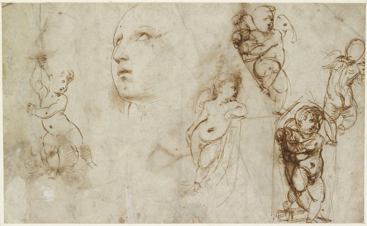 Ein weiblicher Kopf für Borghese-Beckford St. Catherine und verschiedene Putti, WA1846.177 von Raffaello Sanzio Raphael