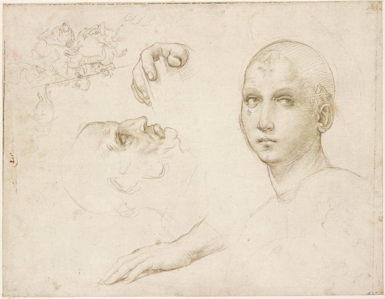 Studien für die Dreifaltigkeit von San Severo und Skizzen nach Leonardo von Raffaello Sanzio Raphael