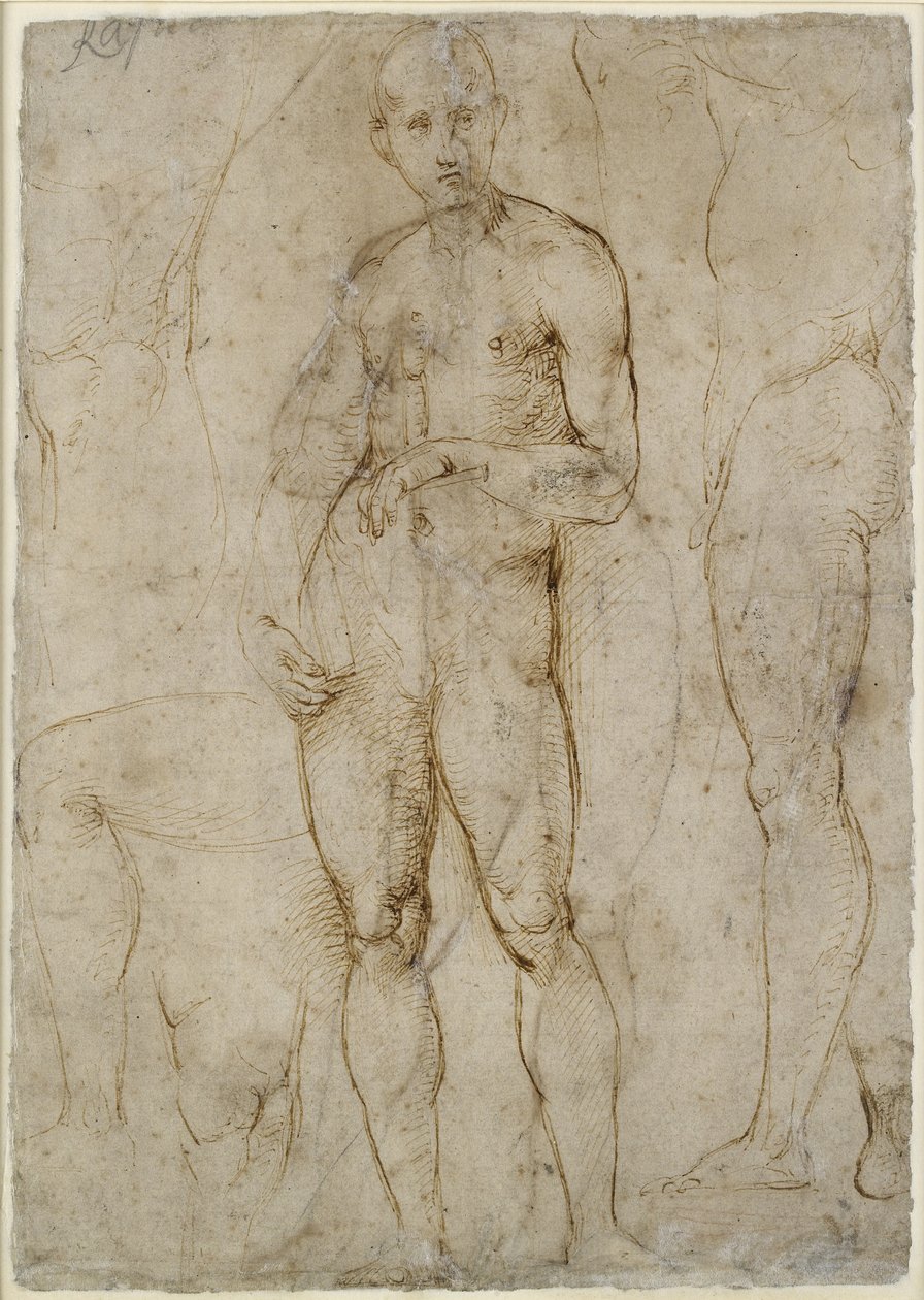 Nackte Studie für einen Heiligen Paulus (Rückseite) von Raffaello Sanzio Raphael