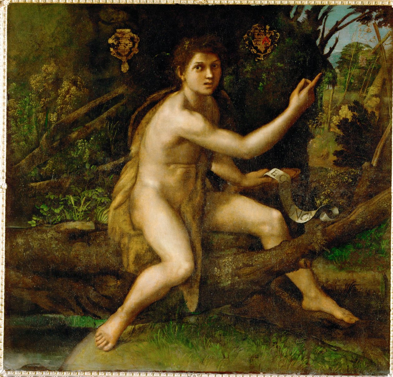 Johannes der Täufer in der Wüste, zeigt den Baum, der ... von Raphael (1483 1520)