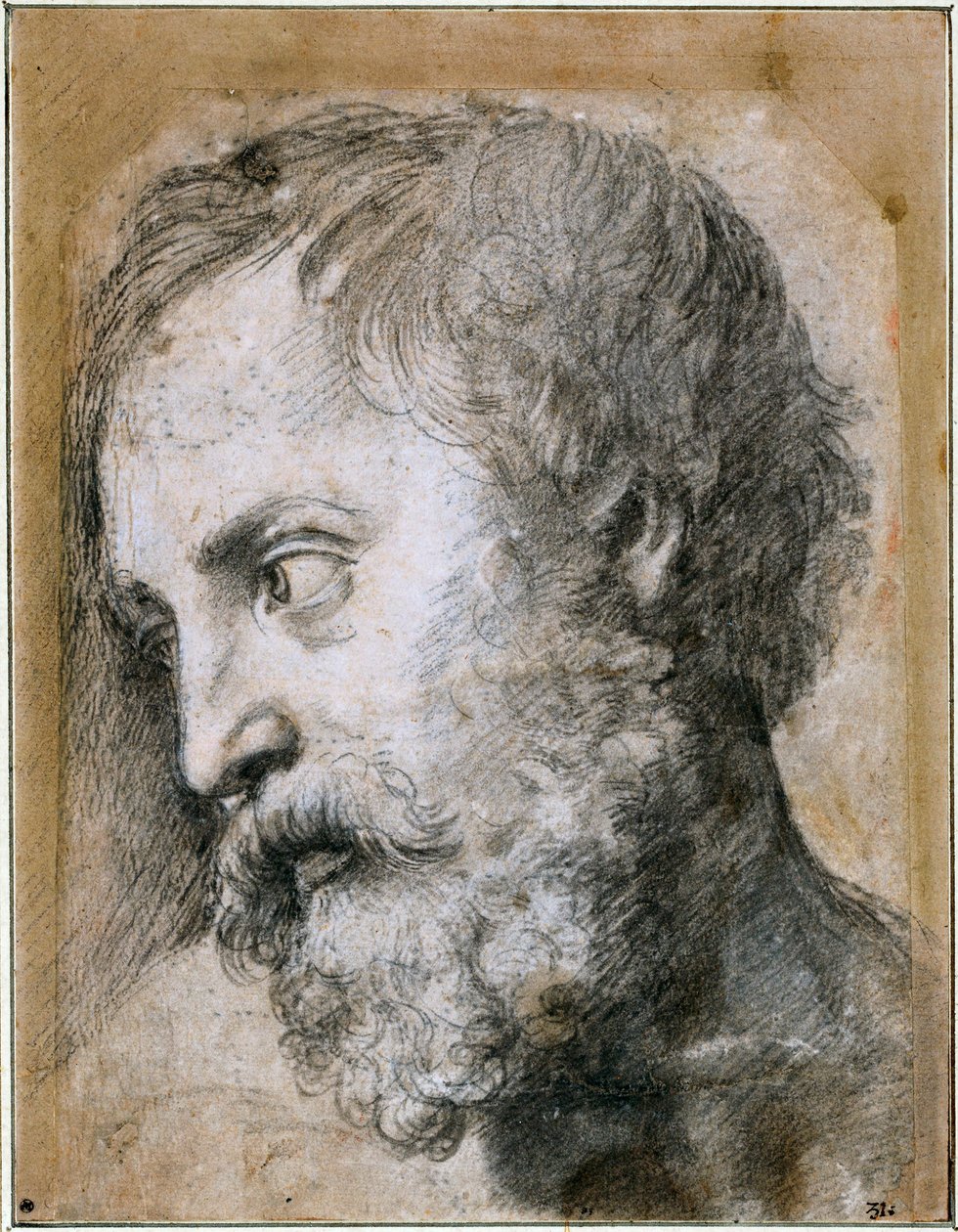 Kopf eines Apostels, Studie für die Verklärung, 1519-1520 von Raffaello Sanzio Raphael