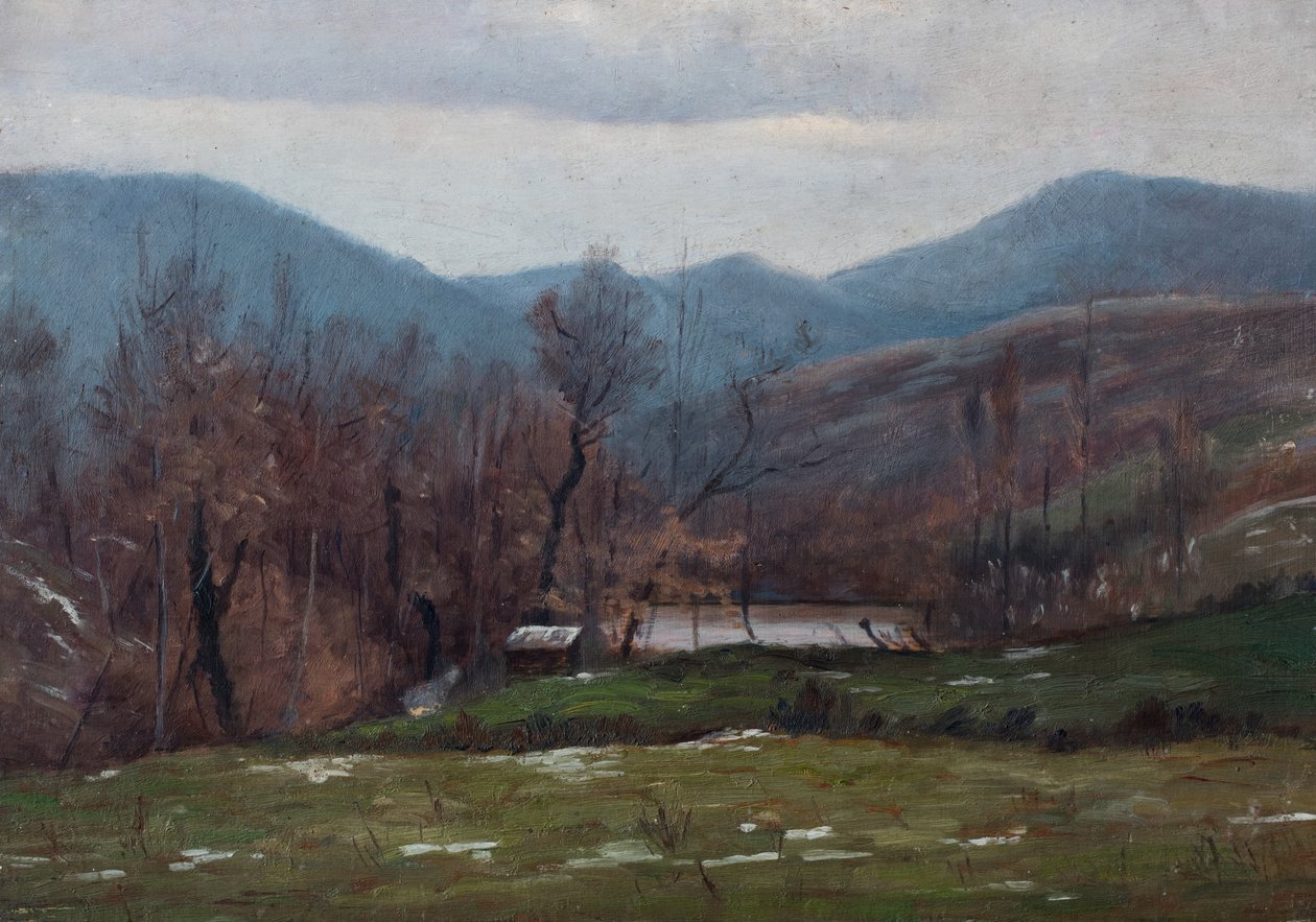 Landschaft mit Teich, März 1905 von Raymond Bonnefon