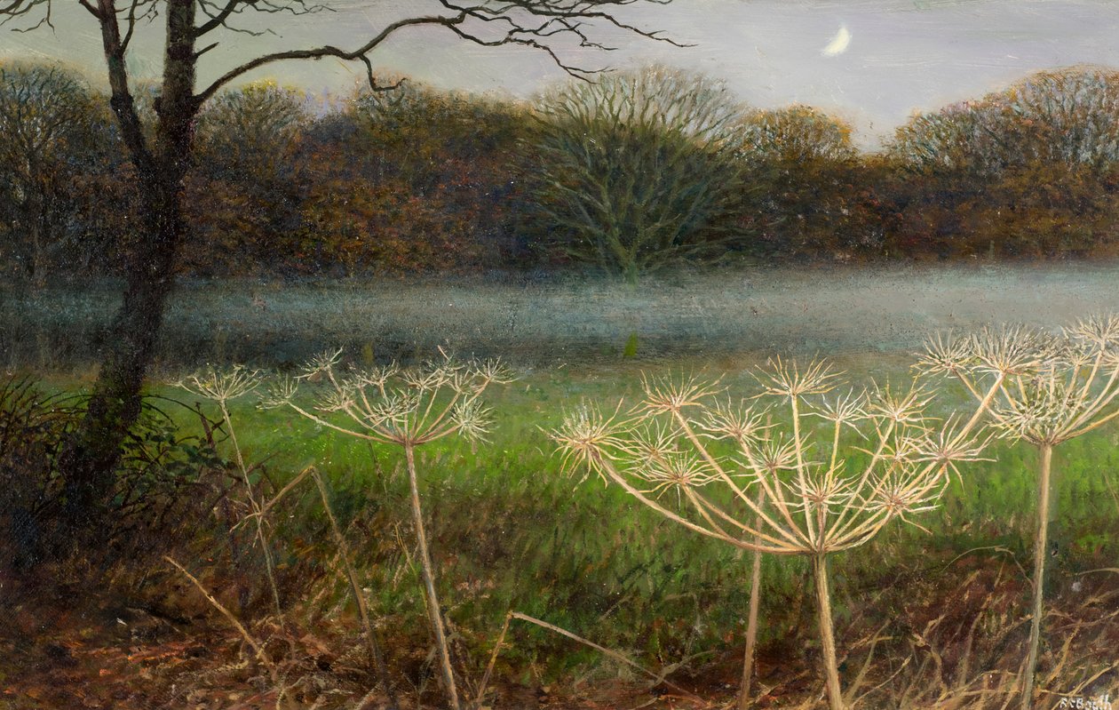 Dezember in der Dämmerung: Nebel über den Feldern von Raymond Booth