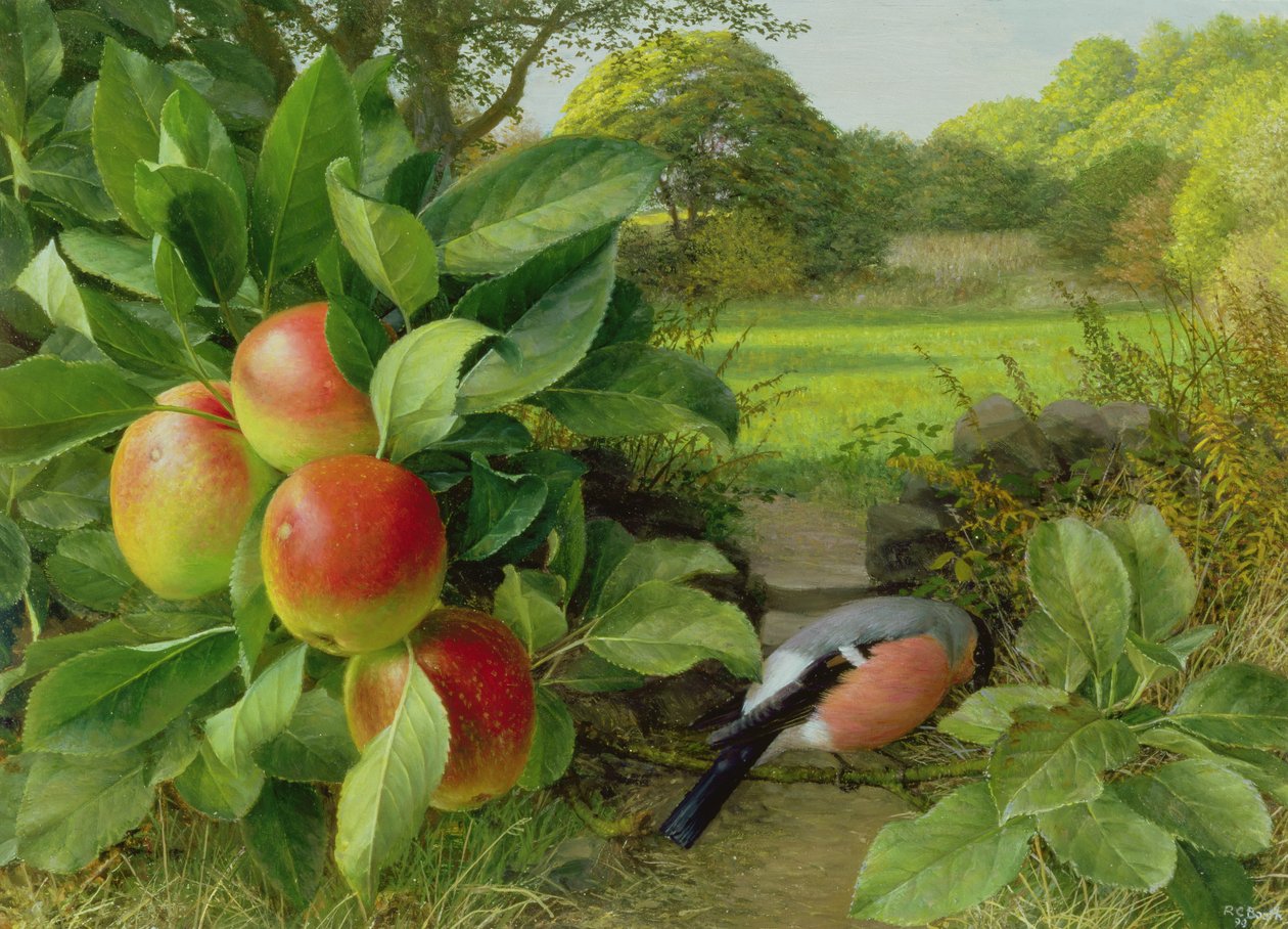 Katja-Apfel und Gimpel von Raymond Booth