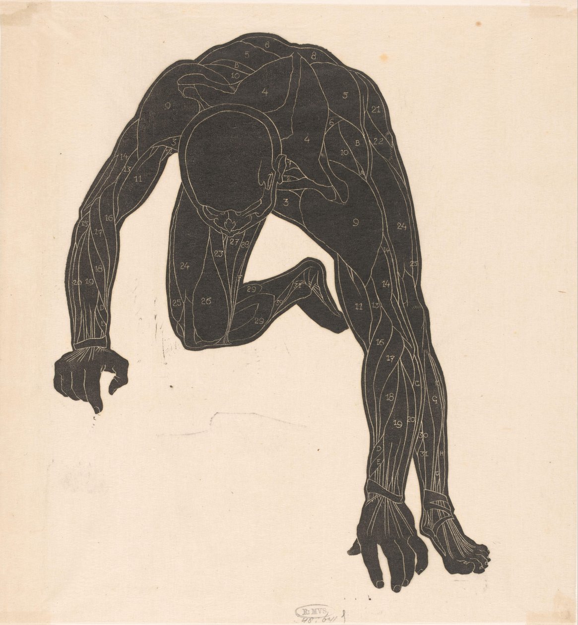 Anatomische Studie der Hals-, Arm- und Beinmuskeln eines Mannes im Silhouette von Reijer Stolk