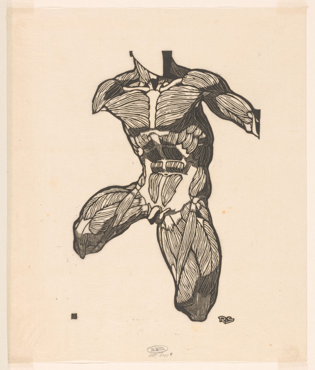 Anatomische Studie der Nacken-, Bauch- und Oberschenkelmuskeln eines Mannes von Reijer Stolk
