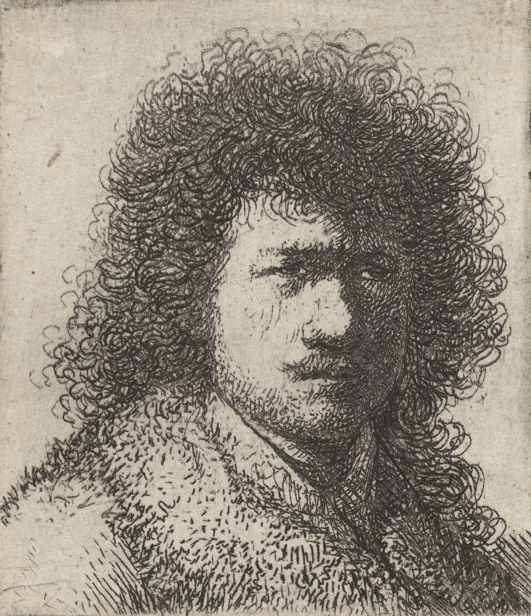 Selbstporträt mit unordentlichem Haar, 1628-31 von Rembrandt van Rijn