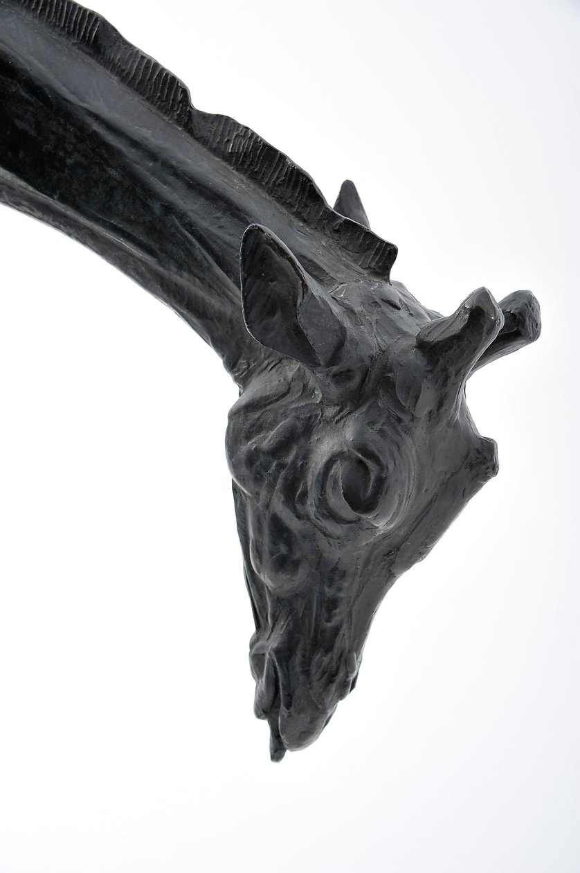 Große Giraffe mit gesenktem Kopf, modelliert 1909-10, vor 1913 gegossen (Bronze) von Rembrandt Bugatti