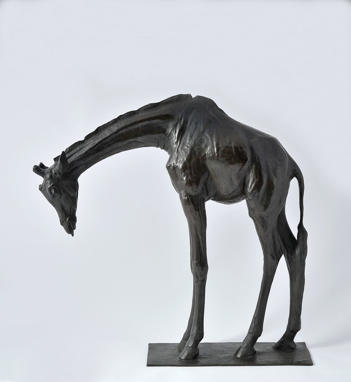 Große Giraffe mit gesenktem Kopf, modelliert 1909-10, gegossen vor 1913 von Rembrandt Bugatti
