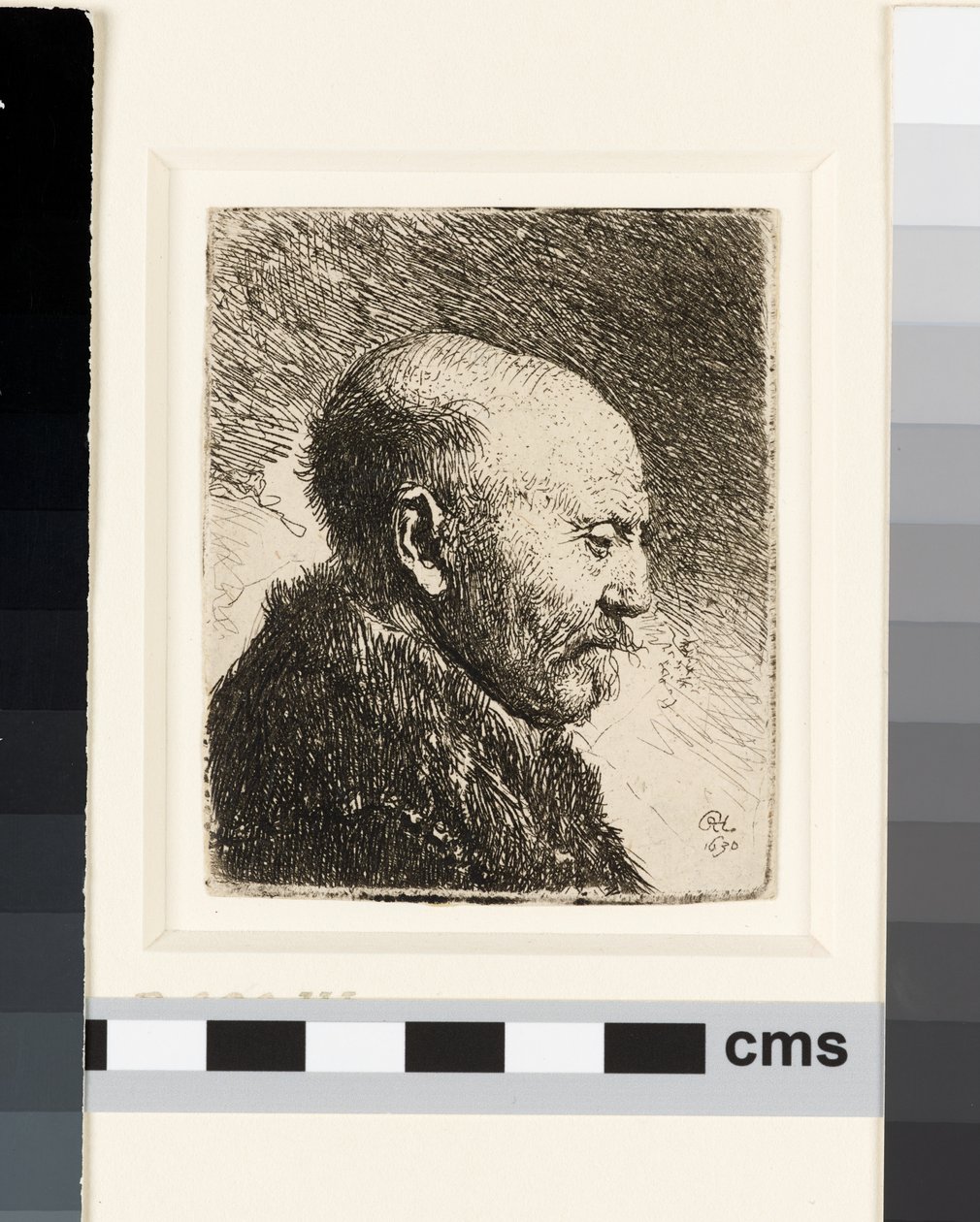 Glatzköpfiger Mann im Profil rechts: Rembrandts Vater? von Rembrandt van Rijn