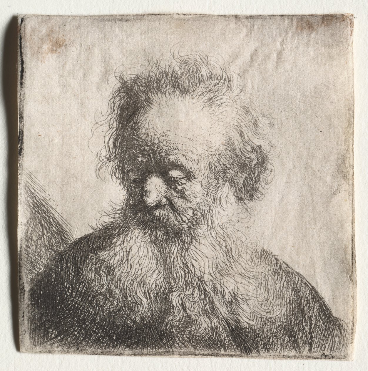 Alter Mann mit fließendem Bart: Büste von Rembrandt Harmensz. van Rijn