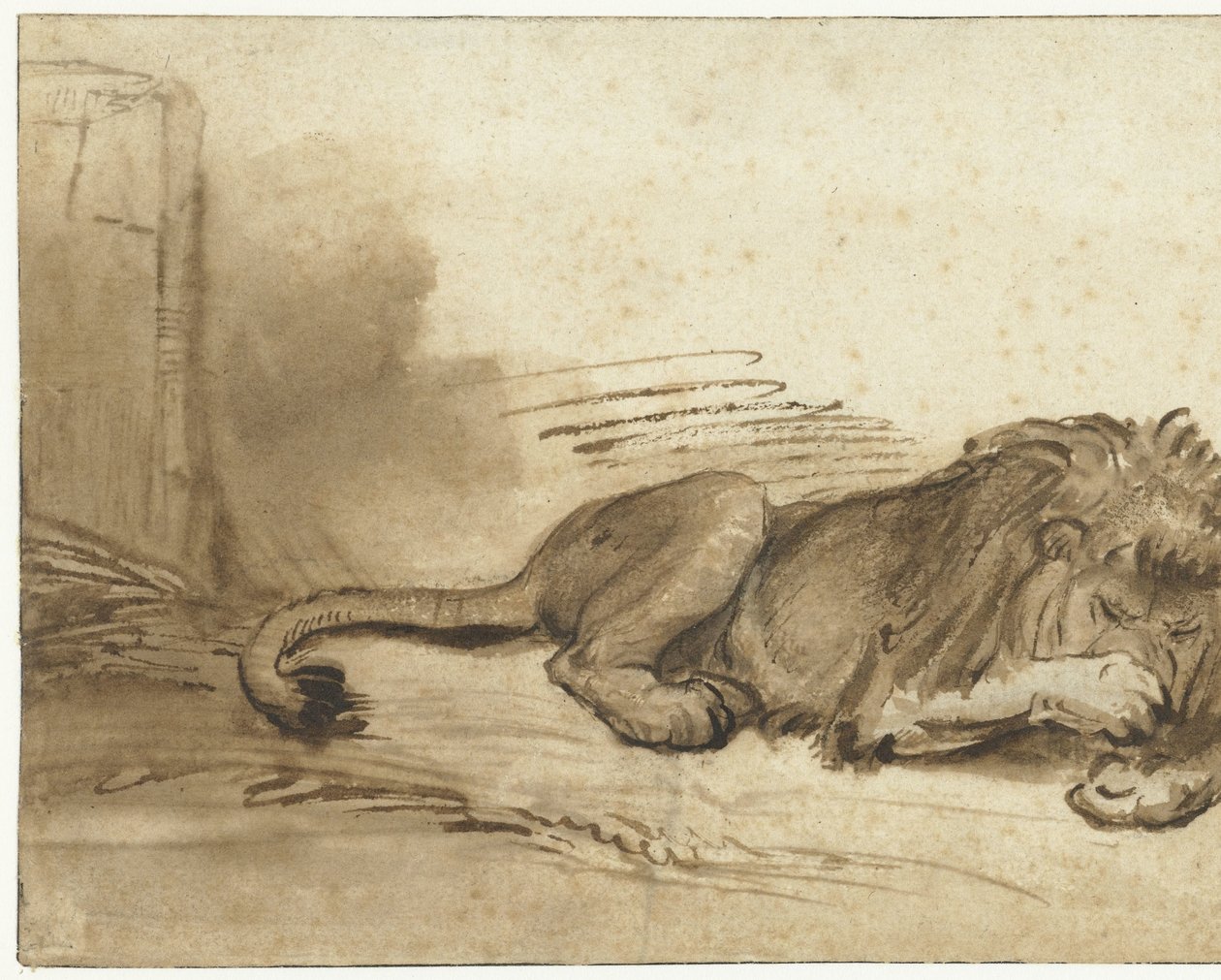 Liegender Löwe mit der Vorderpfote über der Schnauze von Rembrandt van Rijn (school of)