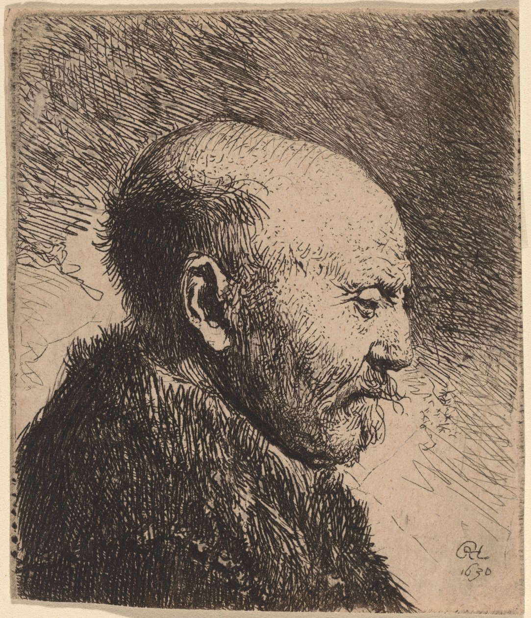 Ein glatzköpfiger Mann im Profil (Der Vater des Künstlers?) von Rembrandt van Rijn