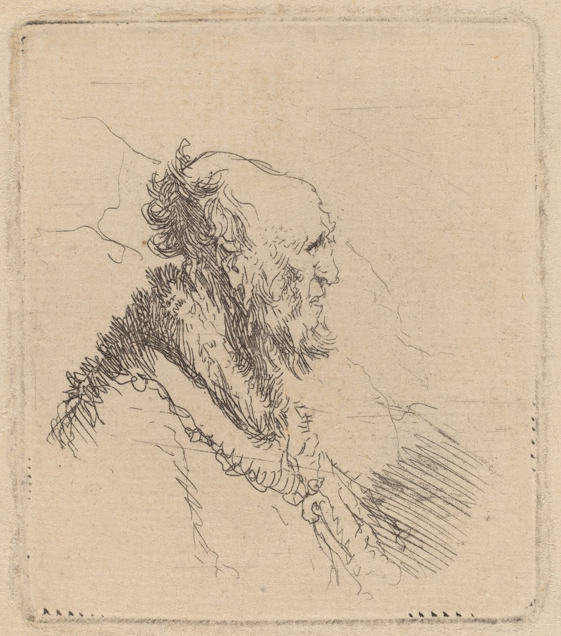 Glatzköpfiger alter Mann mit kurzem Bart im Profil von Rembrandt van Rijn