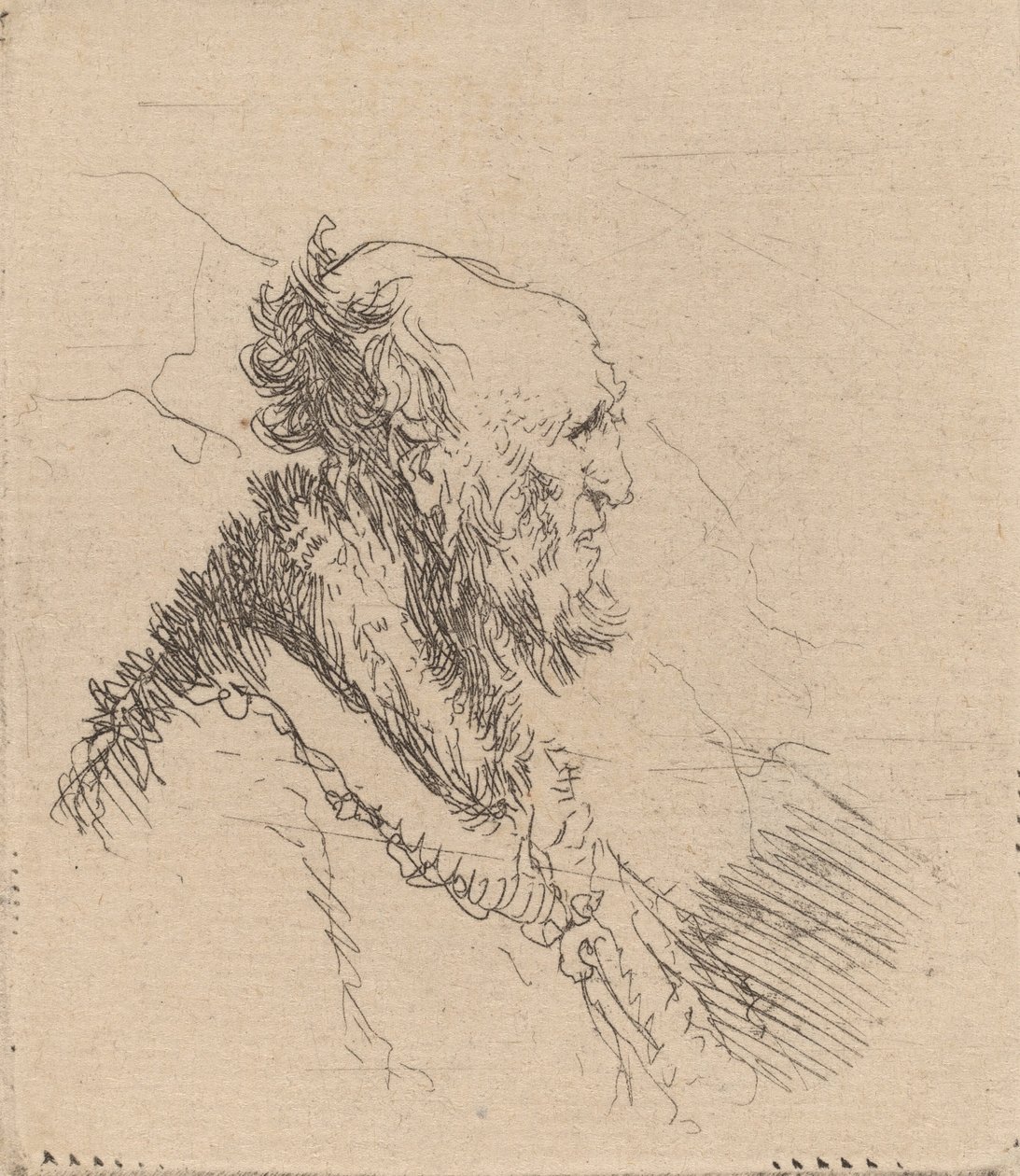 Kahlköpfiger alter Mann mit kurzem Bart im Profil von Rembrandt van Rijn