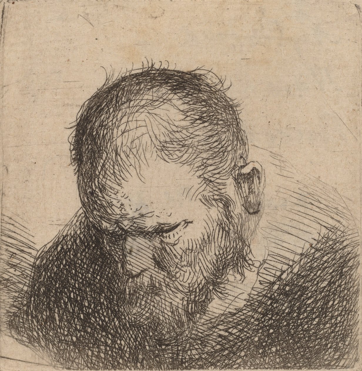 Bärtiger Mann, der nach unten schaut, möglicherweise 1631 von Rembrandt van Rijn