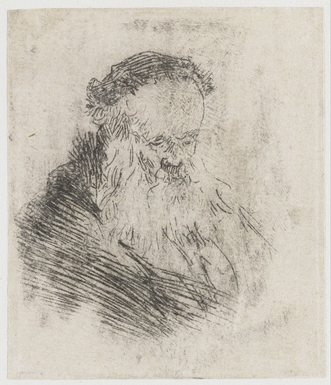 Bärtiger alter Mann mit hohem Stirn von Rembrandt van Rijn