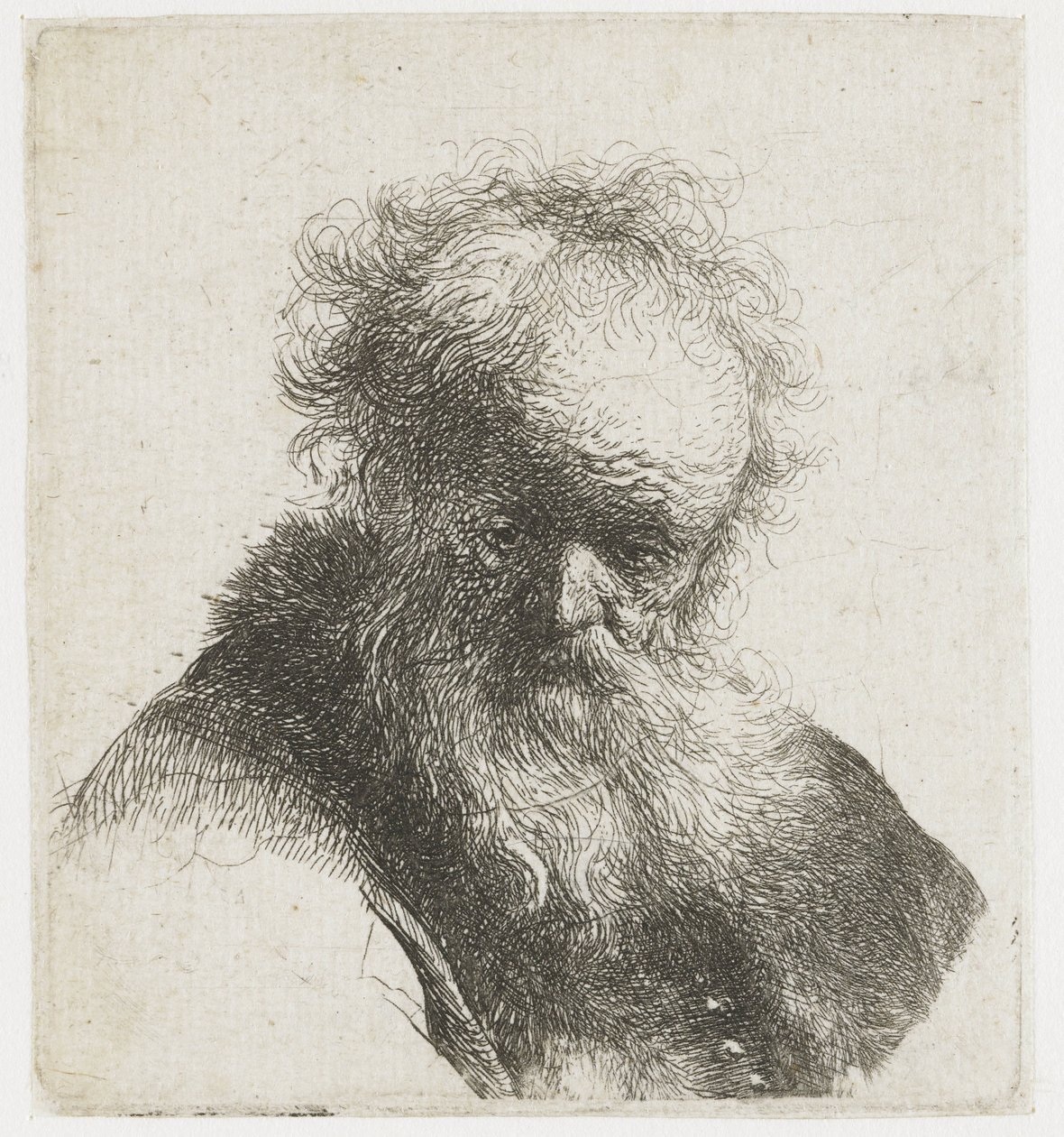 Büste eines alten Mannes mit fließendem Bart und weißem Ärmel von Rembrandt van Rijn