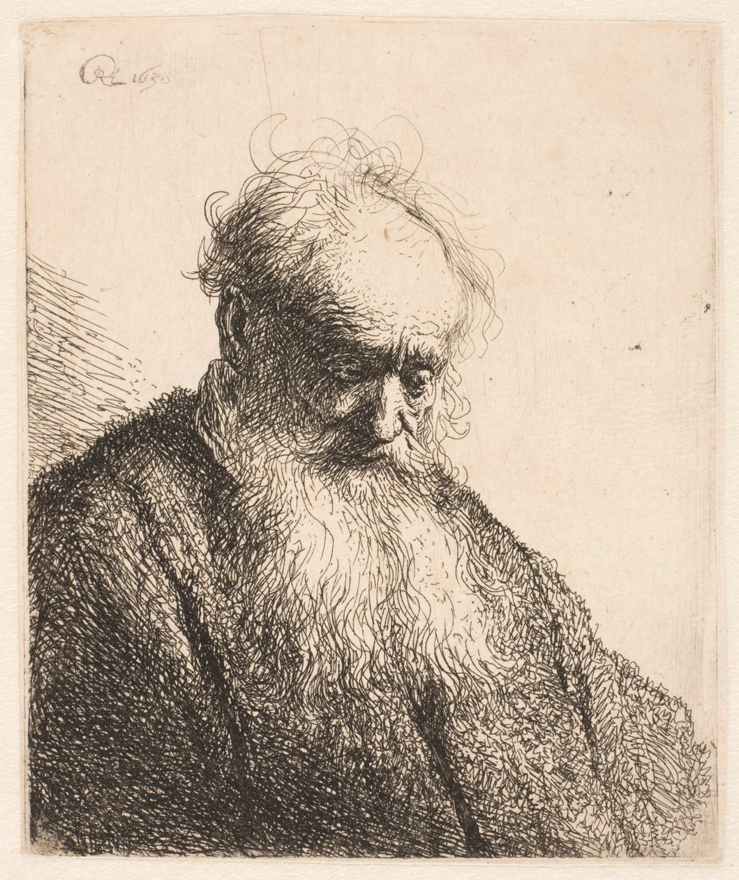 Büste eines alten Mannes mit fließendem Bart: der Kopf dreiviertel nach rechts geneigt von Rembrandt van Rijn
