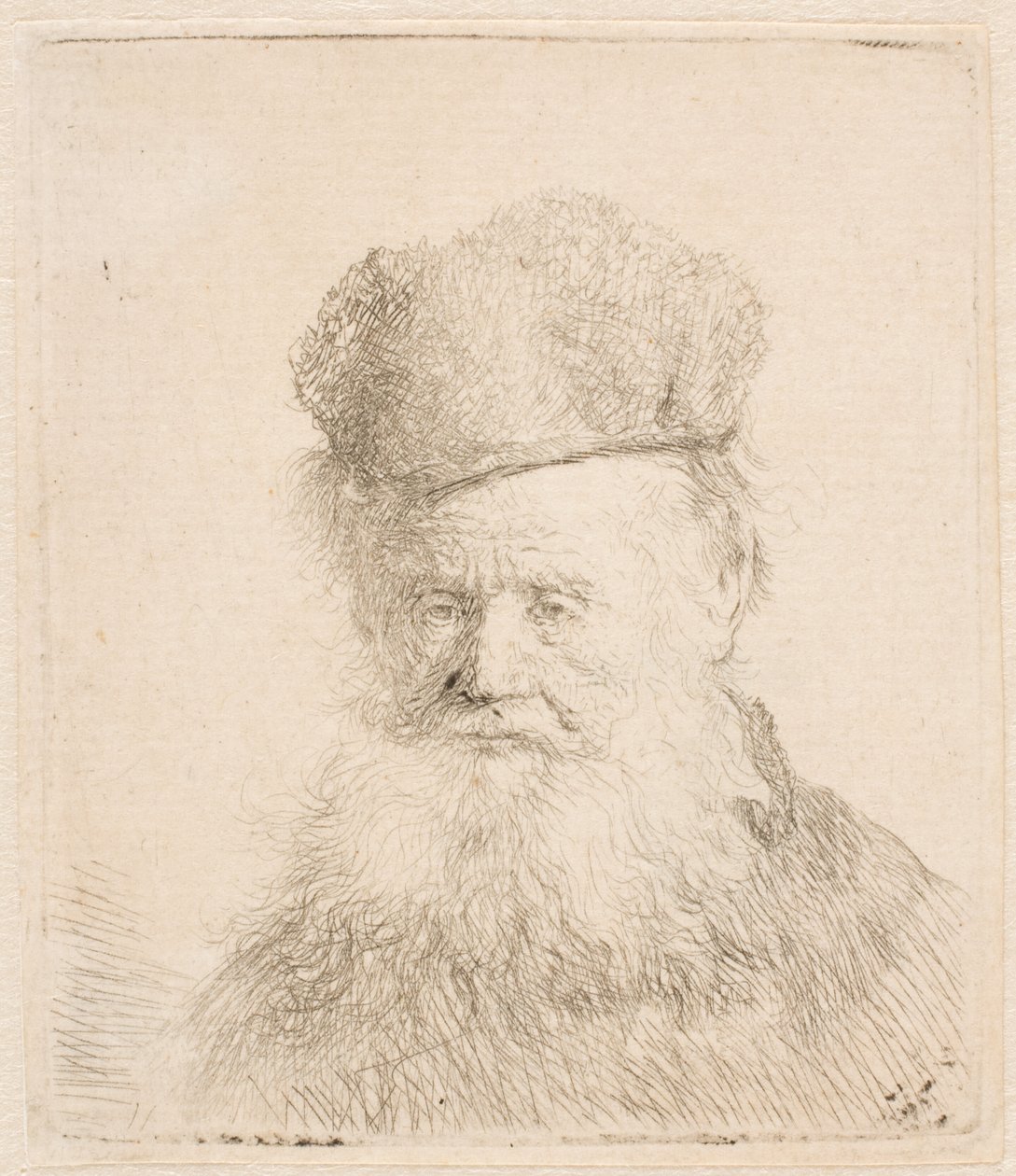 Büste eines alten Mannes mit Pelzmütze und fließendem Bart: fast frontal: Augen direkt von Rembrandt van Rijn