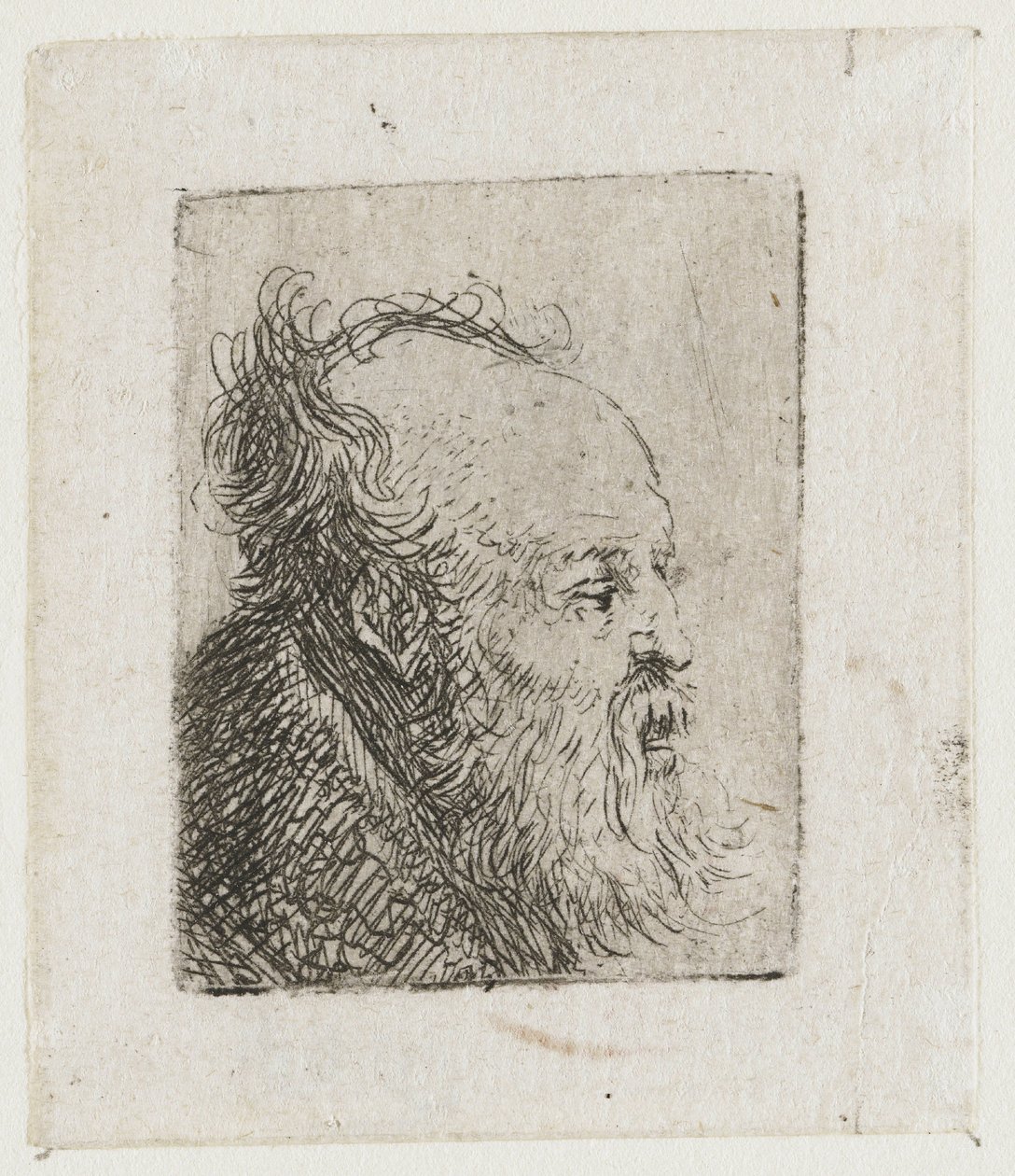Alter bärtiger Mann, der Mund halb offen von Rembrandt van Rijn
