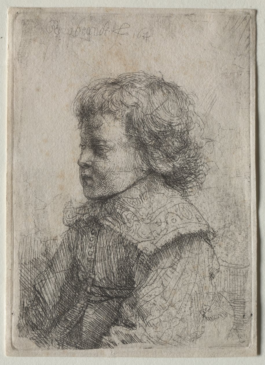 Porträt eines Jungen im Profil von Rembrandt van Rijn