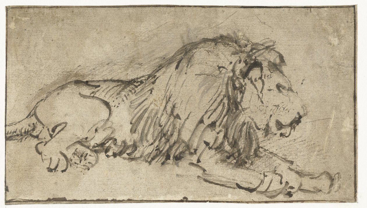 Liegender Löwe von Rembrandt van Rijn