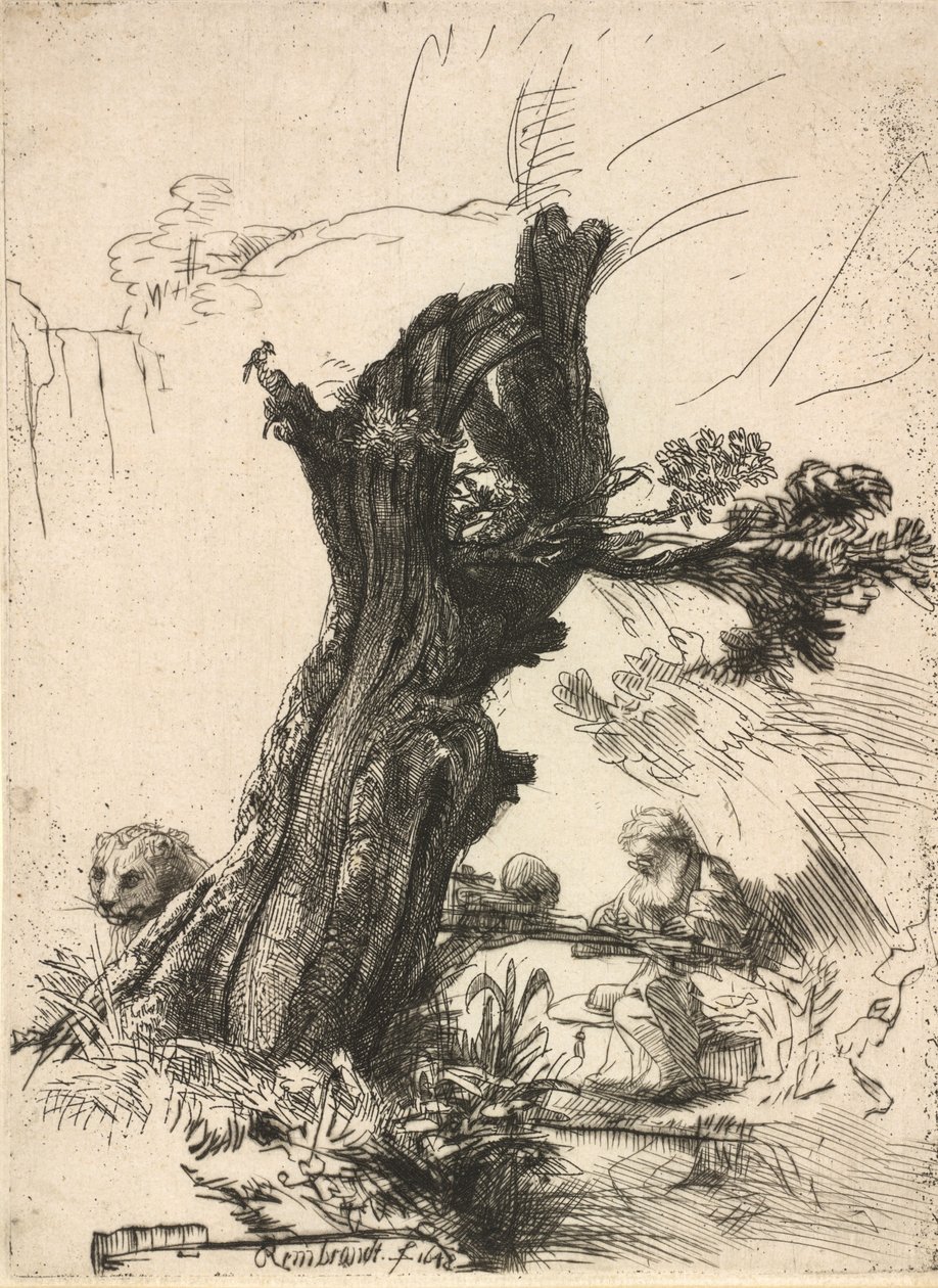 Heiliger Hieronymus neben einer Kopfweide, 1648 von Rembrandt van Rijn
