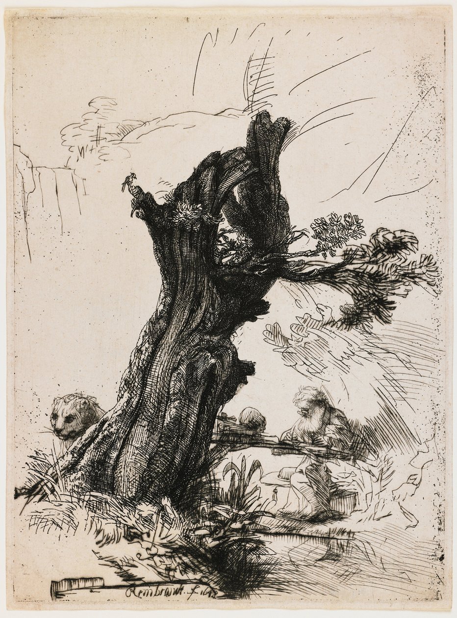 Heiliger Hieronymus bei der Kopfweide von Rembrandt van Rijn