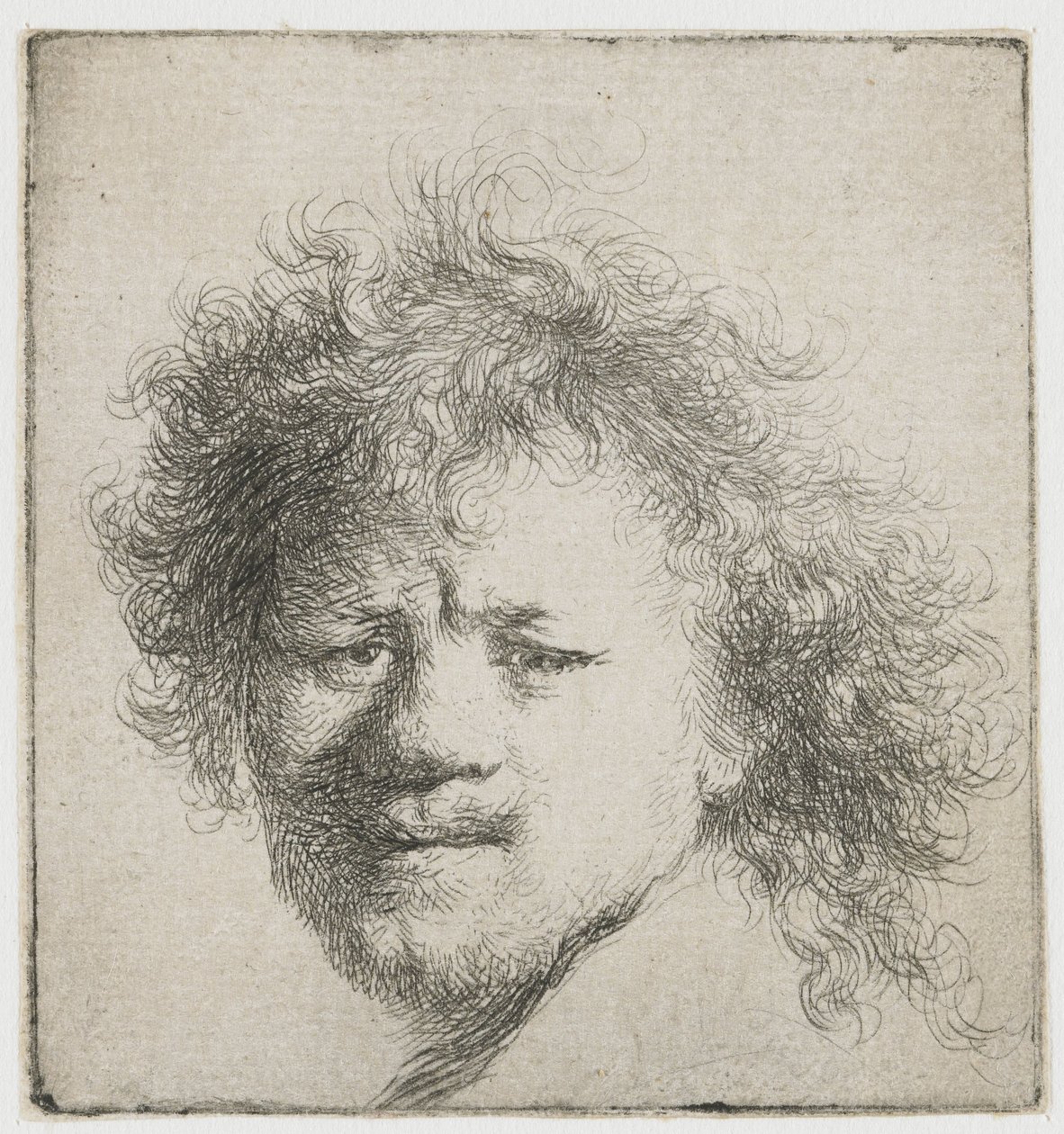 Selbstporträt mit langem buschigem Haar: nur Kopf von Rembrandt van Rijn