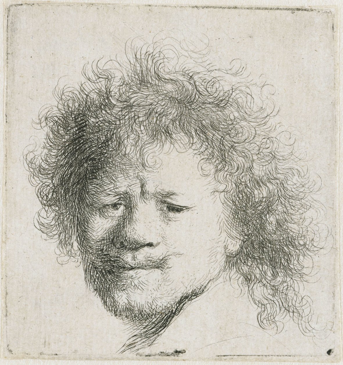 Selbstporträt mit langem buschigem Haar: nur Kopf von Rembrandt van Rijn