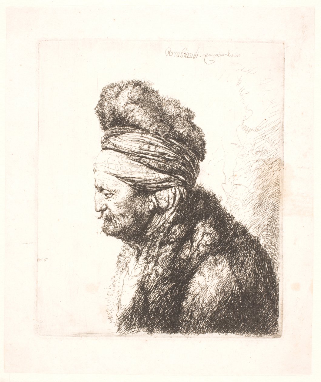 Der zweite orientalische Kopf (Rembrandts Vater?) von Rembrandt van Rijn
