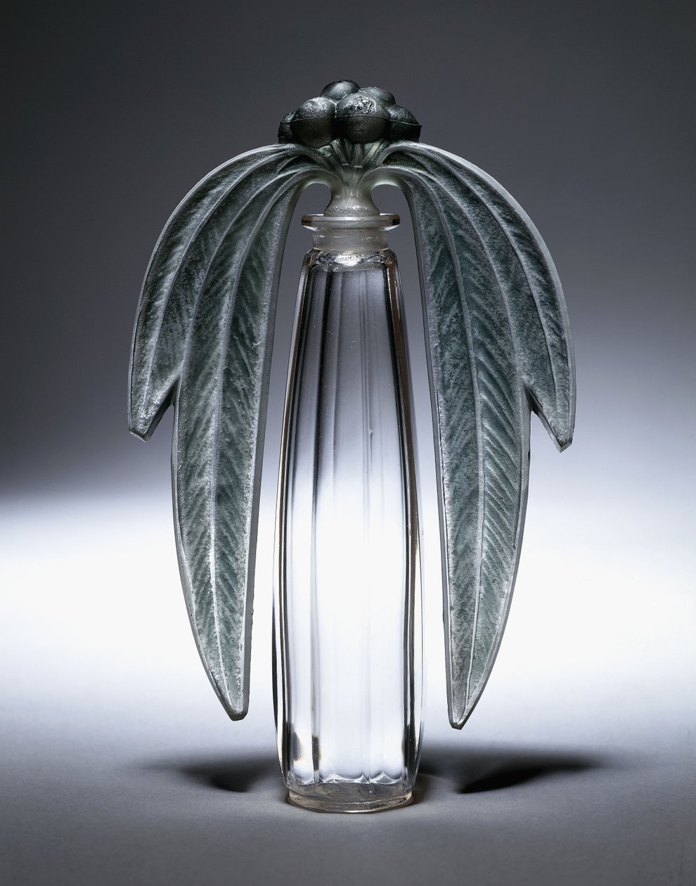 Bouchon Eucalyptus, Nr. 507, ca. 1919 von Rene Jules Lalique