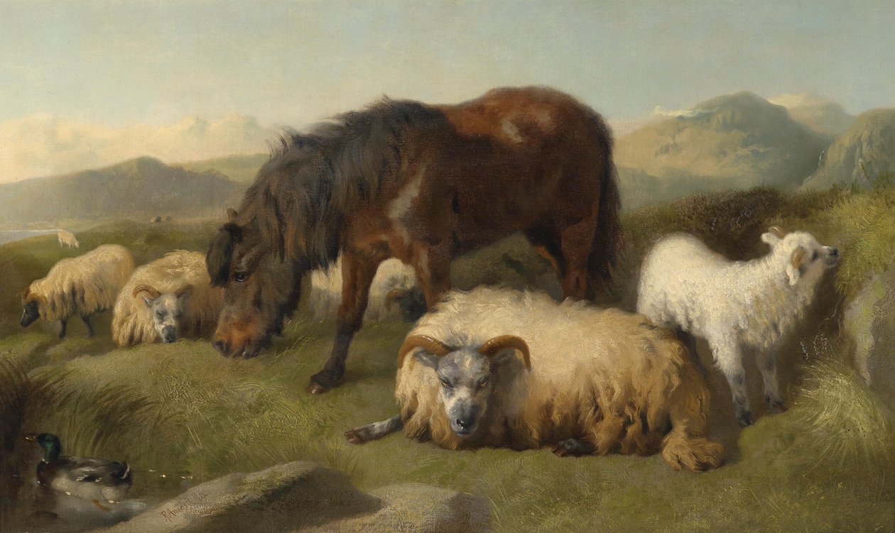 Ziegen, Schafe und ein Pony von Richard Ansdell