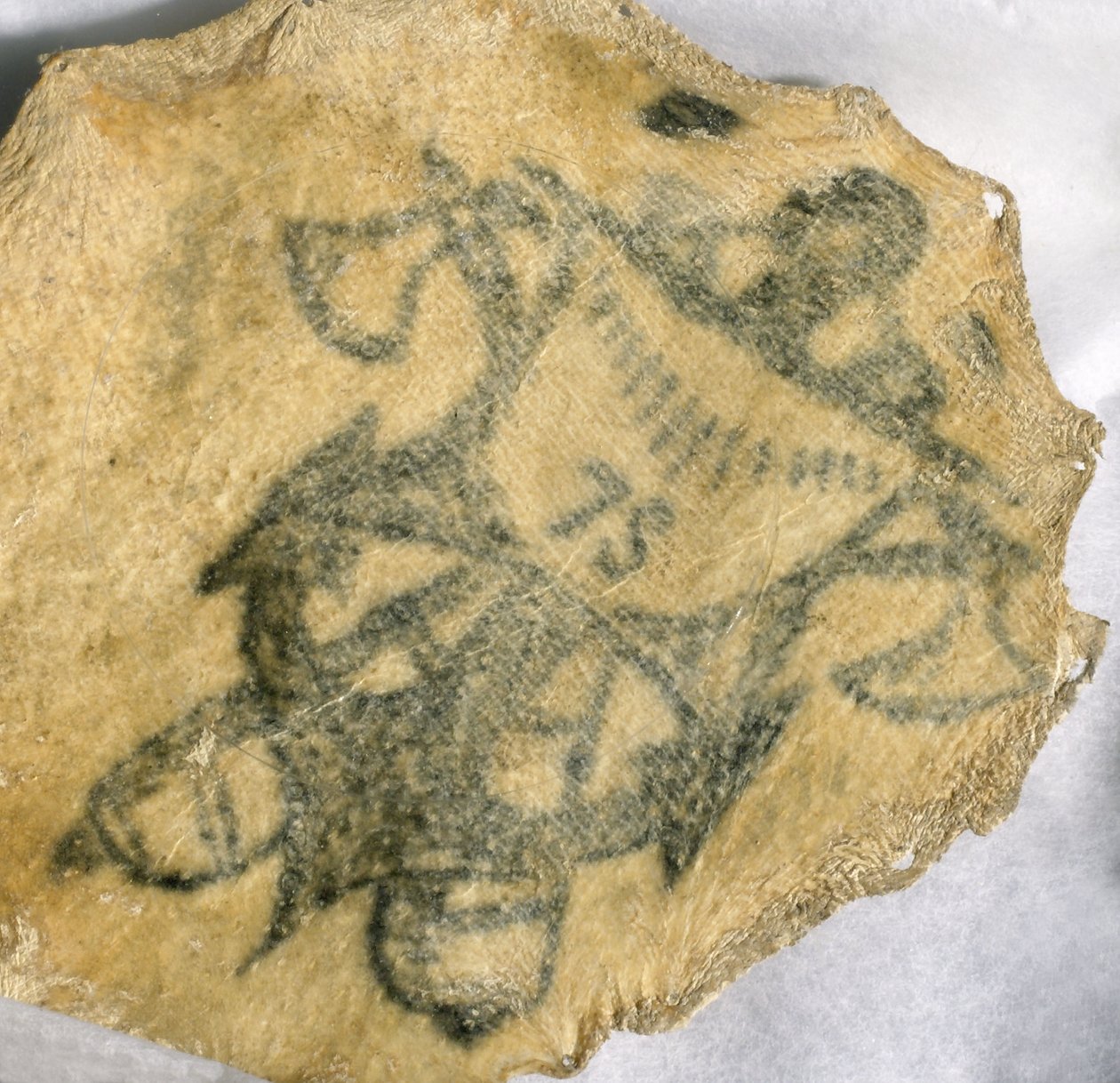 Menschliche Haut, tätowiert mit Marineabzeichen, Französisch von John Pardon