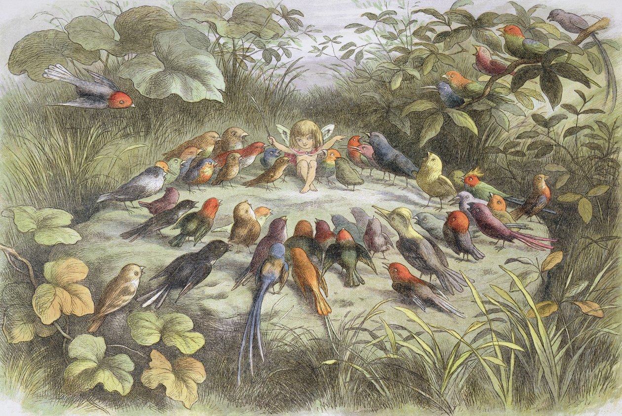 Musikprobe im Feenland (Illustration aus "Im Feenland. Bilder aus der Elfen-Welt", von William Allingham und Andrew Lang) von Richard Doyle