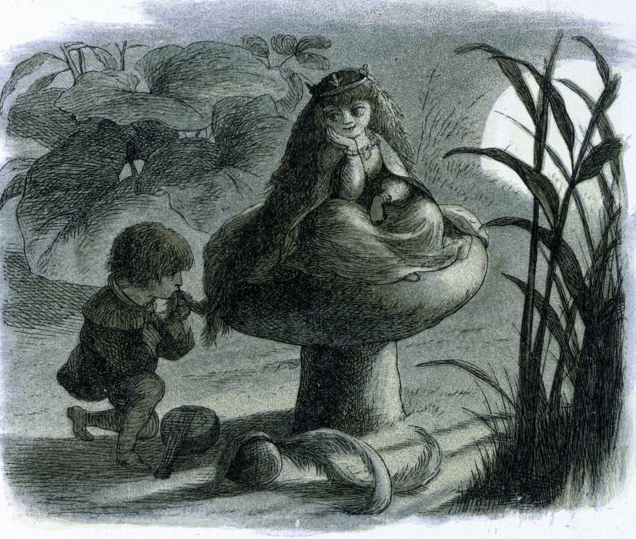 Eine Wasserfee sitzt auf einem Pilz und wird von einem Verehrer umworben. In "Monde des fees" von Richard Doyle von Richard Doyle