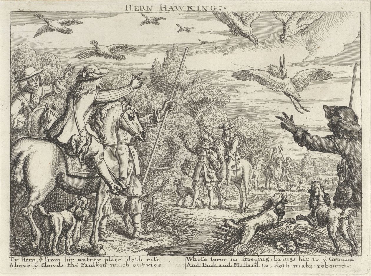 Falkenjagd auf Reiher und Enten von Richard Gaywood (possibly)