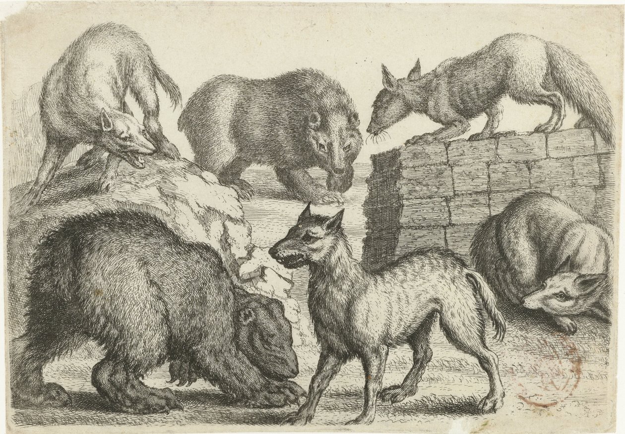 Zwei Bären, zwei Wölfe und zwei Füchse, Tiere nach verschiedenen Künstlern (Serientitel) von Richard Gaywood