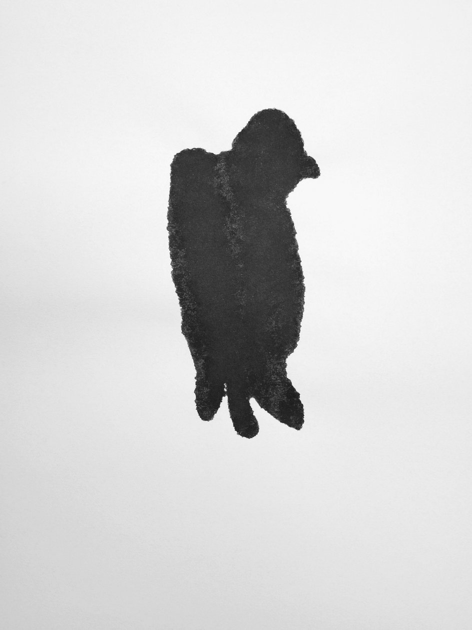 Ohne Titel von Richard Green