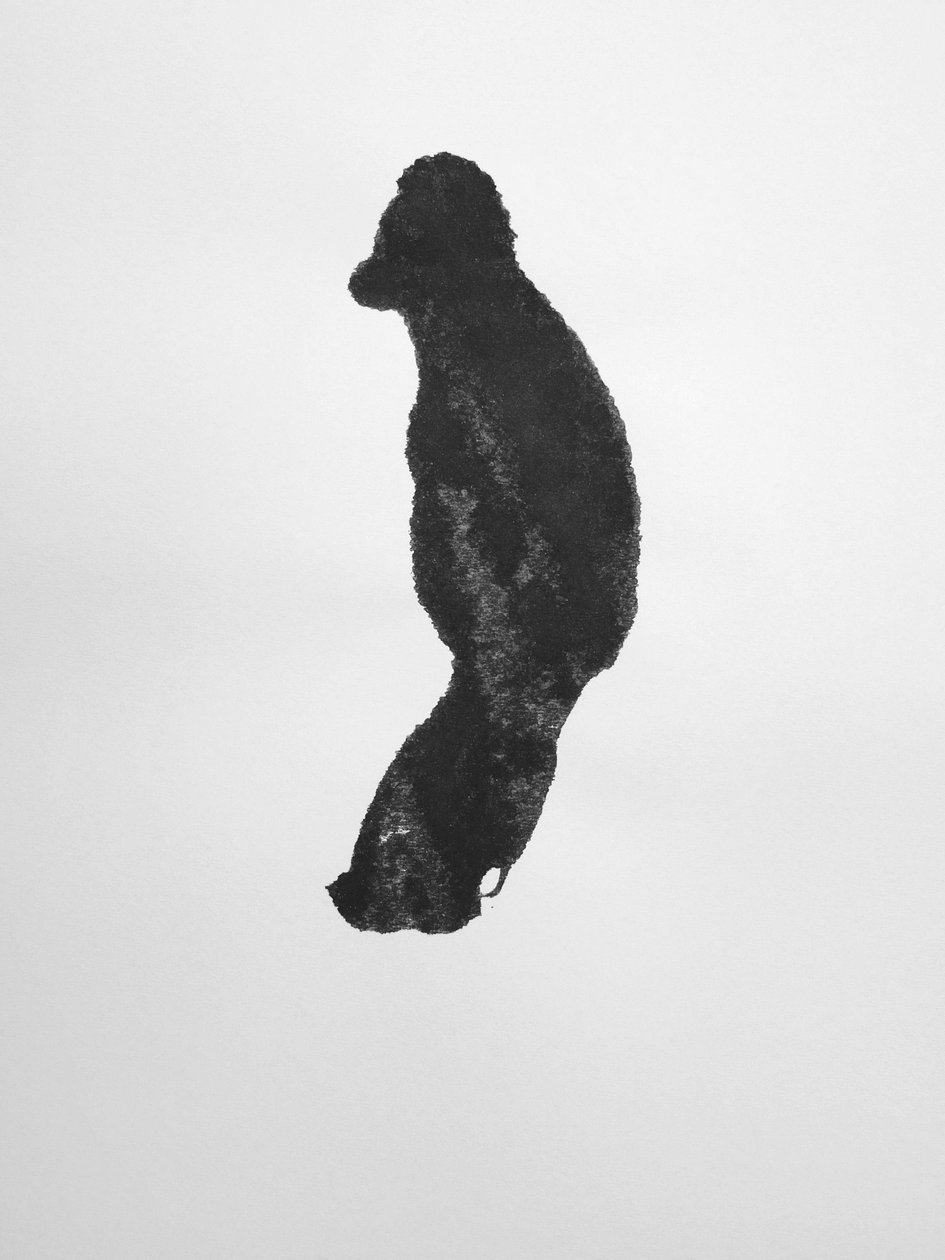 Ohne Titel von Richard Green
