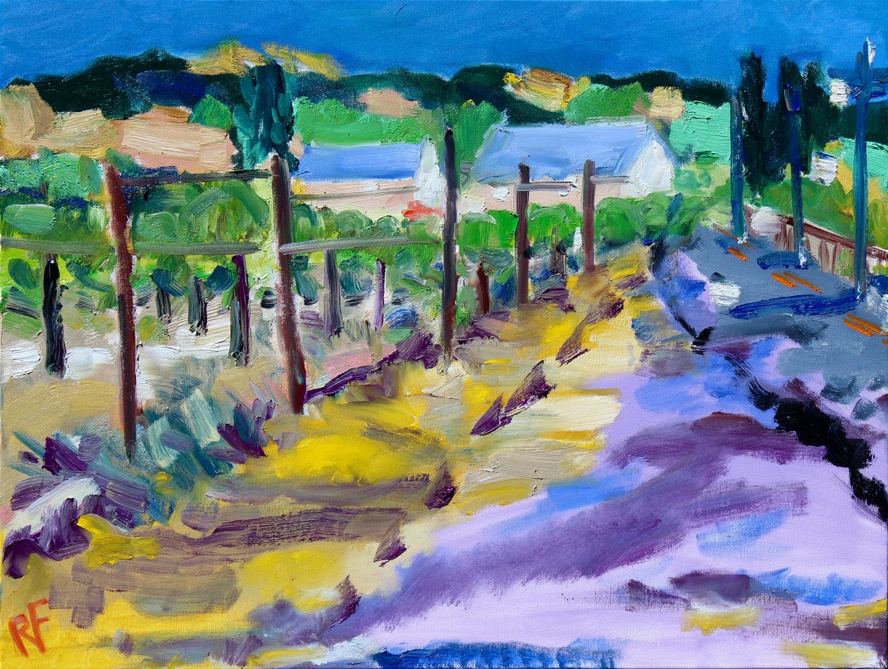 Weinberg außerhalb von Santa Rosa, 2021 von Richard H. Fox